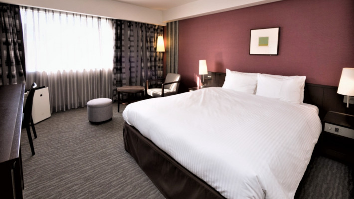 Deluxe Double room — 26.4 m² with ReFa FINE BUBBLE-U showerhead upgrade