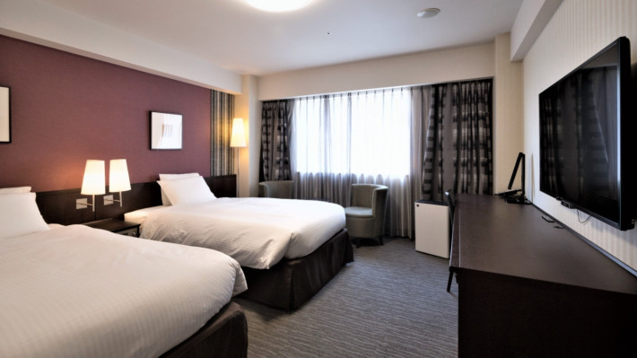 Standard Twin room with two single beds