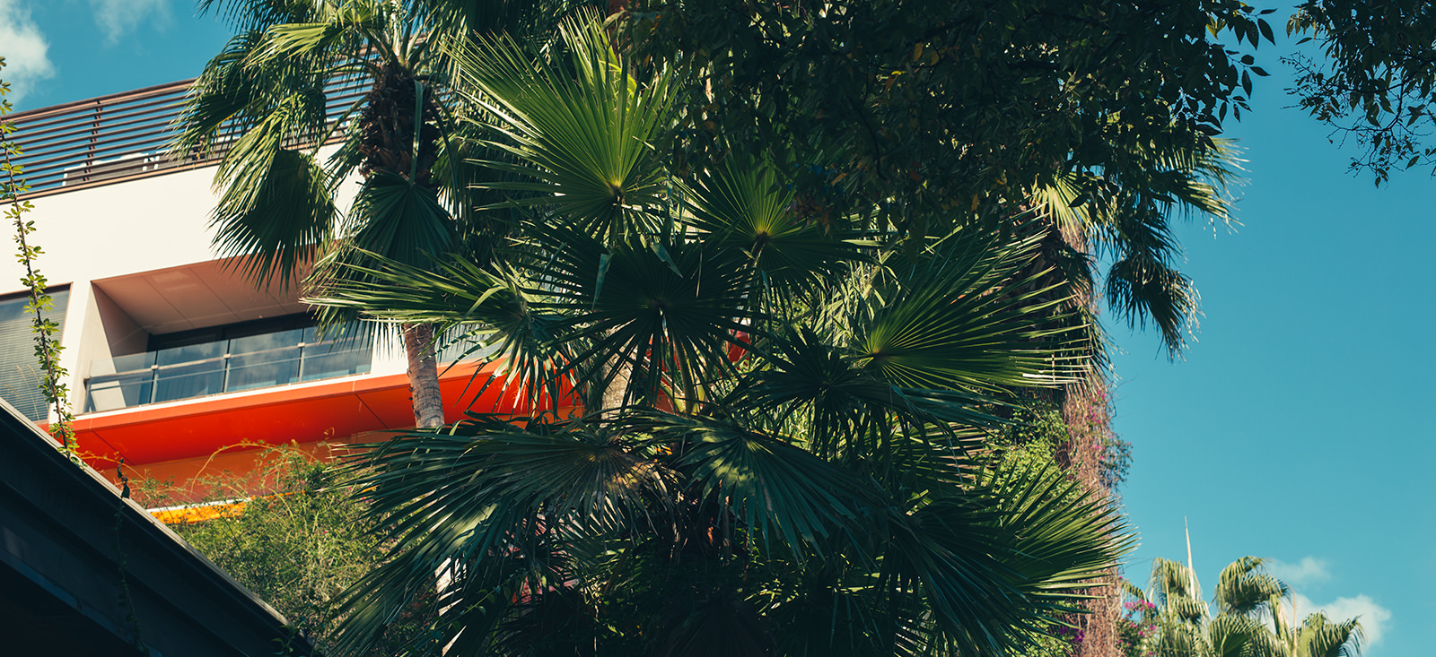 WITH THE STYLE FUKUOKA exterior — palm trees and orange facade